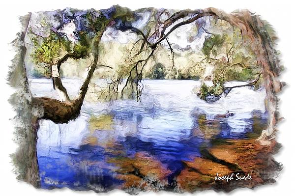 DO-00282 Trees in Cockrone Lagoon Wetland Digital Art
